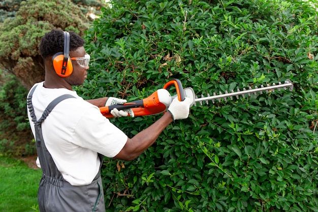 Service de Jardinage